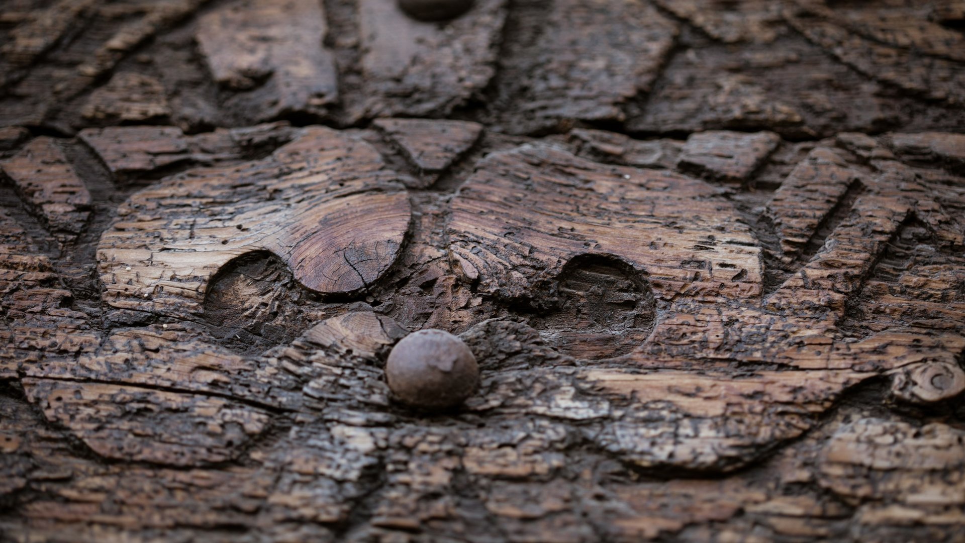 Castel Montani: una dimora ricca di storia Castel Montani: una dimora ricca di storia