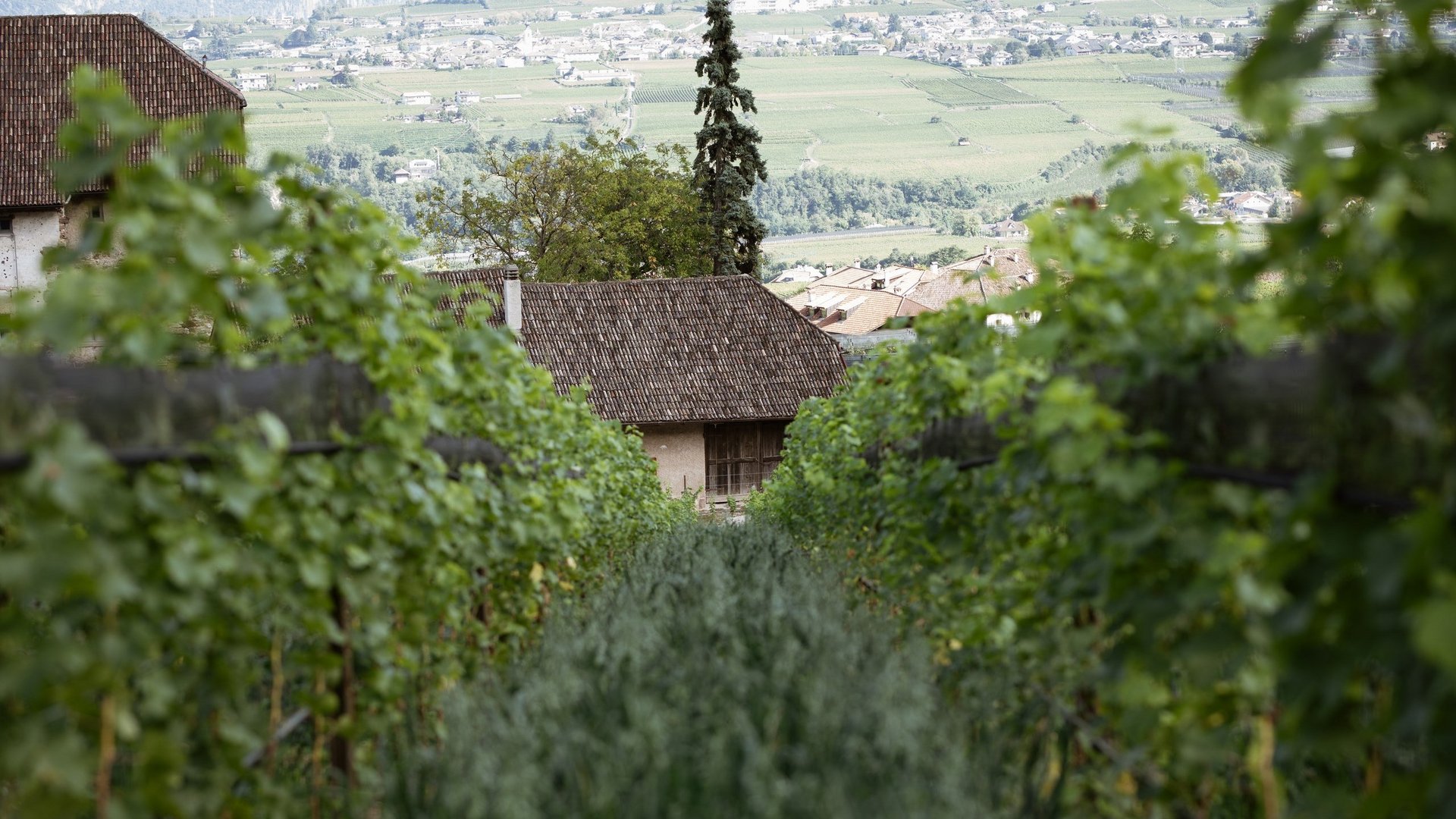 Ansitz Montani | Appartements in Südtirol mit Geschichte Ansitz Montani | Appartements in Südtirol mit Geschichte